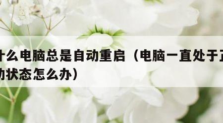 为什么电脑总是自动重启（电脑一直处于正在启动状态怎么办）