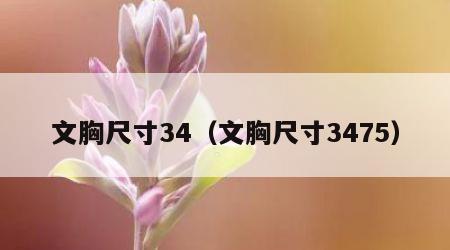 文胸尺寸34（文胸尺寸3475）