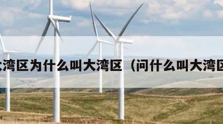 大湾区为什么叫大湾区（问什么叫大湾区）