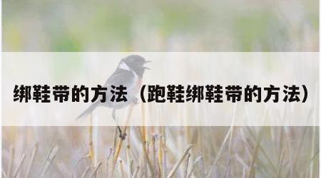 绑鞋带的方法（跑鞋绑鞋带的方法）