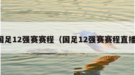 国足12强赛赛程（国足12强赛赛程直播）