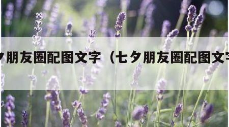 七夕朋友圈配图文字（七夕朋友圈配图文字闺蜜）