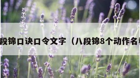 八段锦口诀口令文字（八段锦8个动作名称）