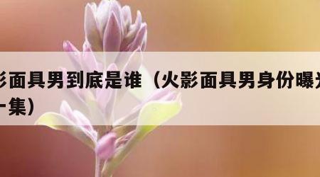 火影面具男到底是谁（火影面具男身份曝光是哪一集）