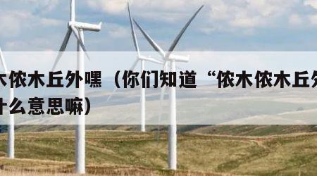 侬木侬木丘外嘿（你们知道“侬木侬木丘外嘿”什么意思嘛）