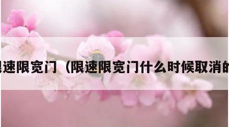 限速限宽门（限速限宽门什么时候取消的）
