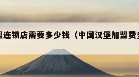 加盟连锁店需要多少钱（中国汉堡加盟费多少）