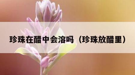 珍珠在醋中会溶吗（珍珠放醋里）