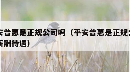 平安普惠是正规公司吗（平安普惠是正规公司吗薪酬待遇）