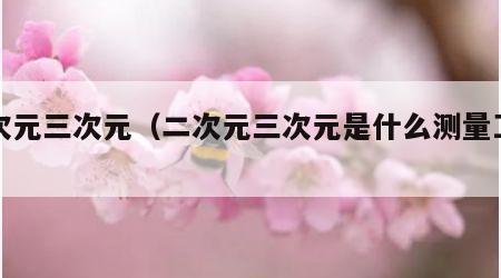 二次元三次元（二次元三次元是什么测量工具）
