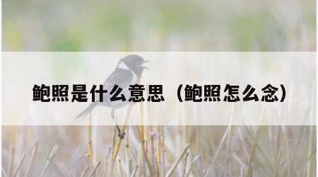 鲍照是什么意思（鲍照怎么念）