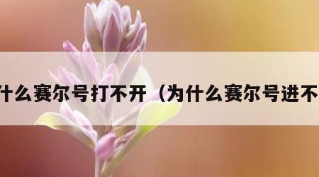 为什么赛尔号打不开（为什么赛尔号进不去）