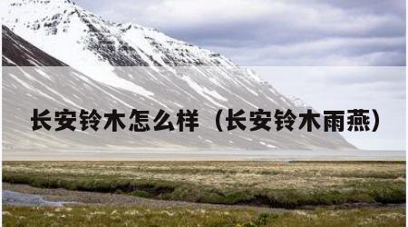 长安铃木怎么样（长安铃木雨燕）