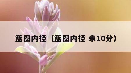 篮圈内径（篮圈内径 米10分）