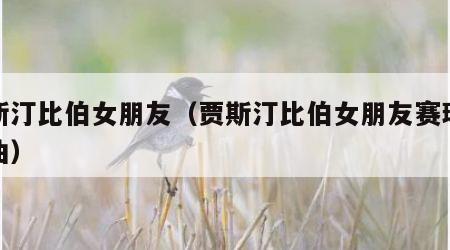 贾斯汀比伯女朋友（贾斯汀比伯女朋友赛琳娜歌曲）
