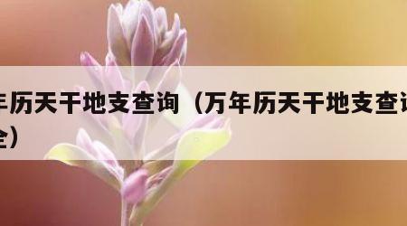 万年历天干地支查询（万年历天干地支查询表大全）