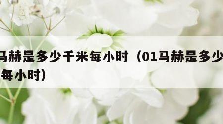 1马赫是多少千米每小时（01马赫是多少千米每小时）