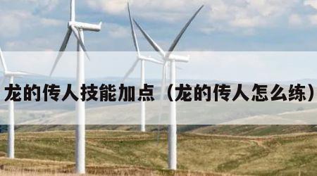龙的传人技能加点（龙的传人怎么练）