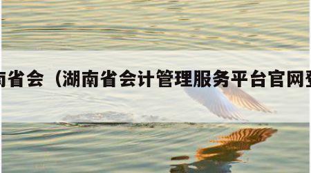 湖南省会（湖南省会计管理服务平台官网登录）