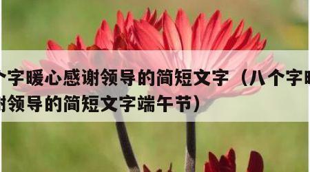 八个字暖心感谢领导的简短文字（八个字暖心感谢领导的简短文字端午节）