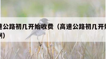 高速公路初几开始收费（高速公路初几开始收费啊）