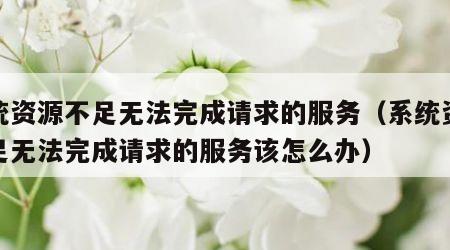 系统资源不足无法完成请求的服务（系统资源不足无法完成请求的服务该怎么办）