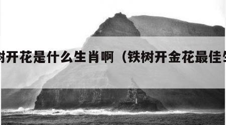 铁树开花是什么生肖啊（铁树开金花最佳生肖）