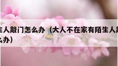 陌生人敲门怎么办（大人不在家有陌生人敲门怎么办）