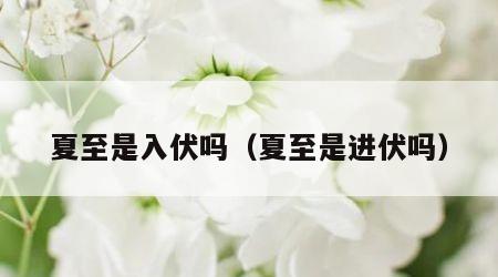 夏至是入伏吗（夏至是进伏吗）