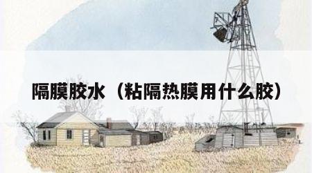 隔膜胶水（粘隔热膜用什么胶）