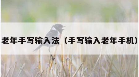 老年手写输入法（手写输入老年手机）