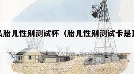 安弘胎儿性别测试杯（胎儿性别测试卡是真是假）