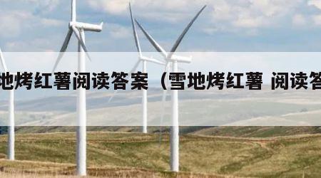 雪地烤红薯阅读答案（雪地烤红薯 阅读答案）