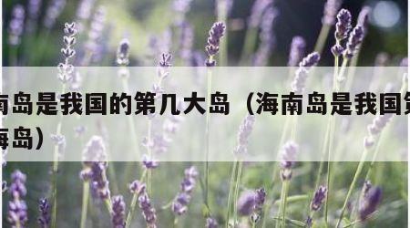 海南岛是我国的第几大岛（海南岛是我国第几大海岛）
