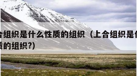 上合组织是什么性质的组织（上合组织是什么性质的组织?）