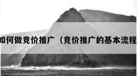 如何做竞价推广（竞价推广的基本流程）