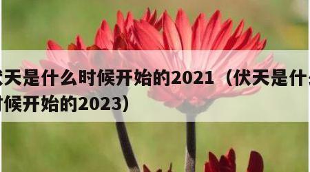 伏天是什么时候开始的2021（伏天是什么时候开始的2023）