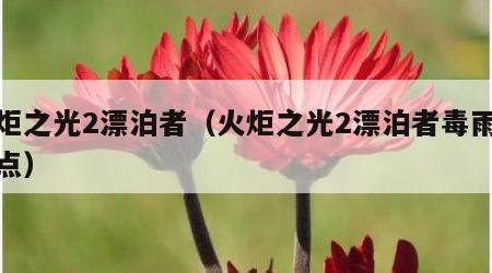 火炬之光2漂泊者（火炬之光2漂泊者毒雨流加点）