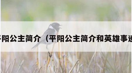 平阳公主简介（平阳公主简介和英雄事迹）