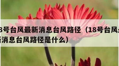 18号台风最新消息台风路径（18号台风最新消息台风路径是什么）