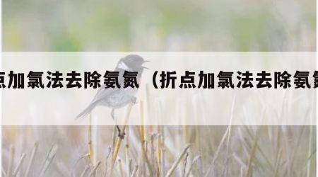 折点加氯法去除氨氮（折点加氯法去除氨氮计算）