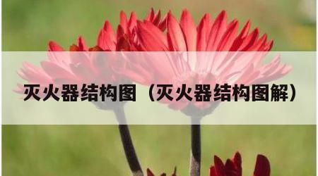灭火器结构图（灭火器结构图解）