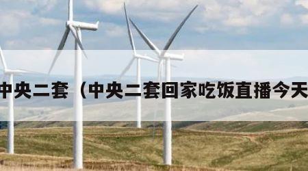 中央二套（中央二套回家吃饭直播今天）