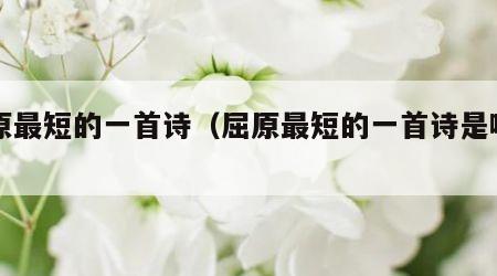 屈原最短的一首诗（屈原最短的一首诗是哪一首）