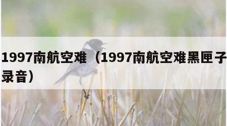 1997南航空难（1997南航空难黑匣子录音）