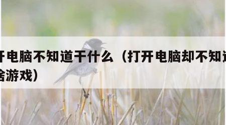 打开电脑不知道干什么（打开电脑却不知道该玩啥游戏）