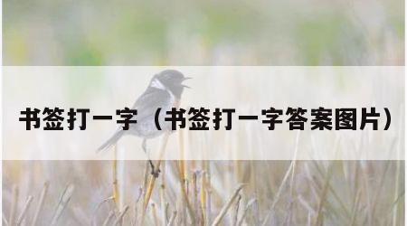 书签打一字（书签打一字答案图片）