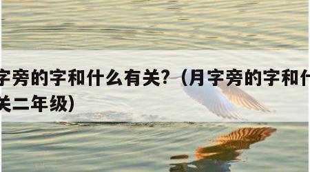 月字旁的字和什么有关?（月字旁的字和什么有关二年级）