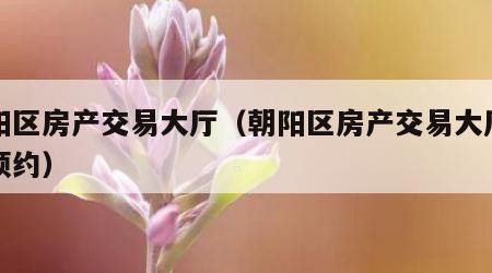 朝阳区房产交易大厅（朝阳区房产交易大厅网上预约）