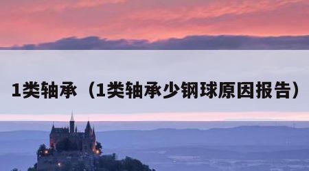 1类轴承（1类轴承少钢球原因报告）
